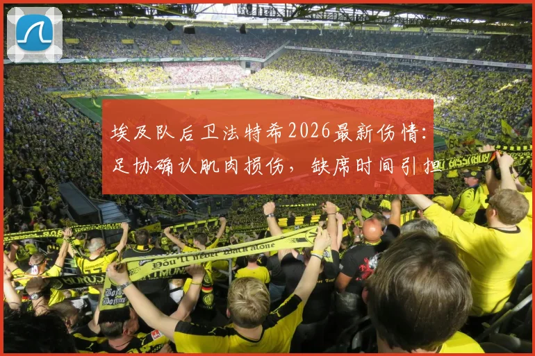埃及队后卫法特希2026最新伤情:足协确认肌肉损伤,缺席时间引担忧