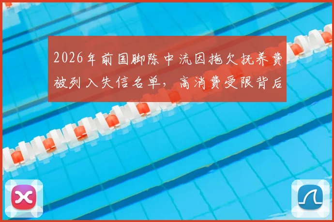 2026年前国脚陈中流因拖欠抚养费被列入失信名单,高消费受限背后体育明星债务纠纷引关注